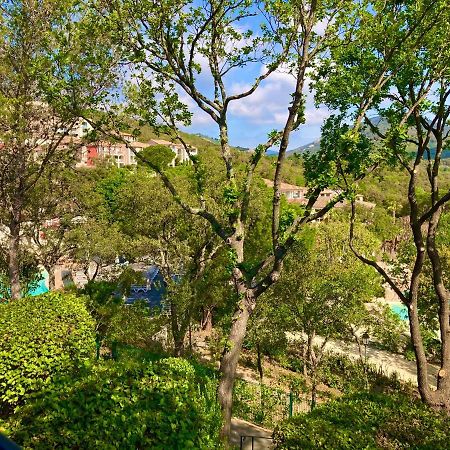 Apartament Les Restanques Bruyeres 2103 Proche Piscine Grimaud Zewnętrze zdjęcie